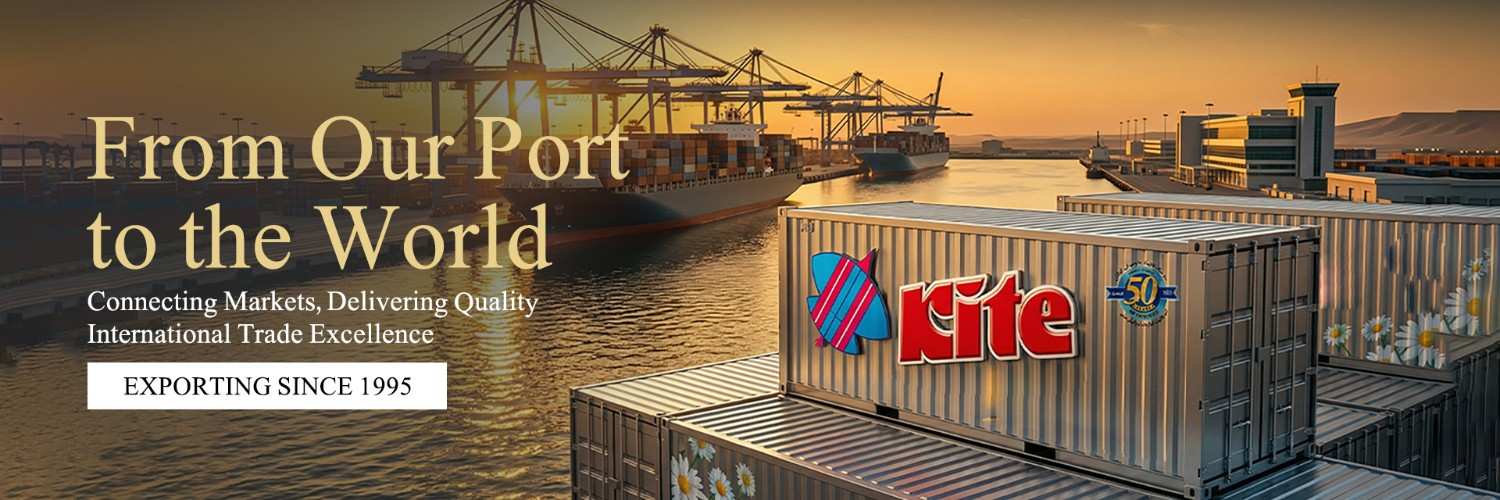Export Shipping Container